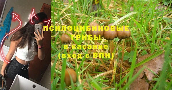 Альфа ПВП Волоколамск