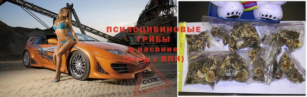 кокаин премиум Ладушкин